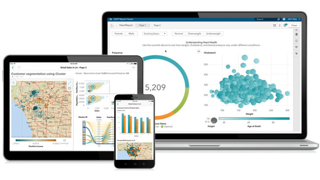 Sas business intelligence это